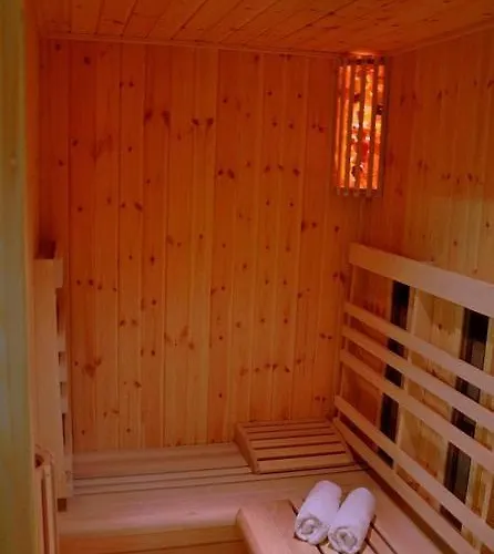 Maxim מלון Mariánské Lázně